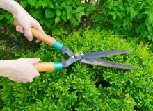 Kwikfynd Garden Maintenance
moleriver